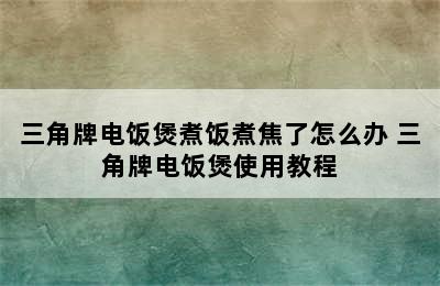 三角牌电饭煲煮饭煮焦了怎么办 三角牌电饭煲使用教程